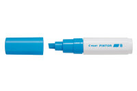 PILOT Marker Pintor 8.0mm SW-PT-B-LB bleu clair