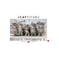 HEYE Bildkalender 2026 1130+26 Whiskas Katzen DE 45x30cm