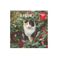ALPHA EDITION Bildkalender 2027 161056 Katzen ML 30x30cm