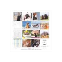 ALPHA EDITION Calendrier 2026 160631 Labrador ML 30x30cm