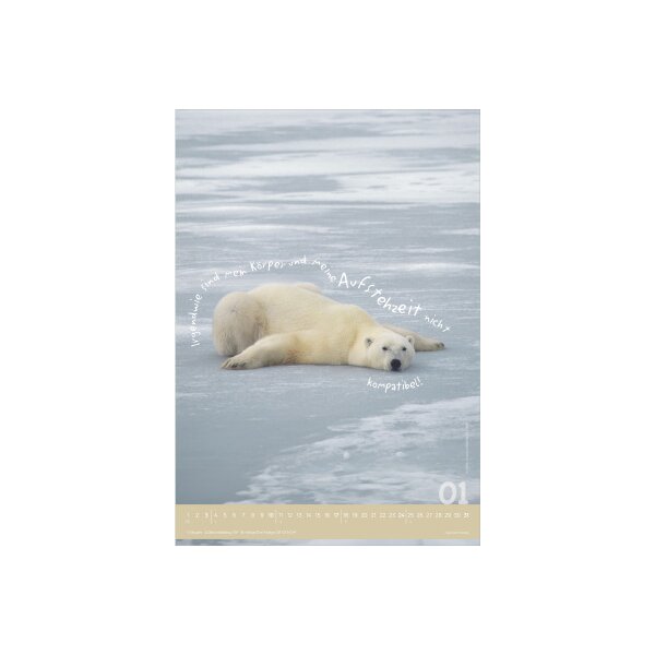 ALPHA EDITION Bildkalender 2027 161034 Tierisch cool! DE 23.7x34cm