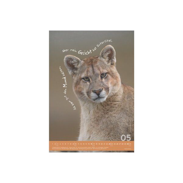 ALPHA EDITION Bildkalender 2027 161034 Tierisch cool! DE 23.7x34cm