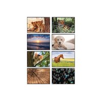 KOLMA Schreibunterlage 35.550.20 Löwe 50x34cm