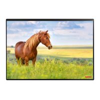 KOLMA Schreibunterlage 35.555.20 Pferd 50x34cm