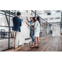 MAGNETOPLAN Infinity Wall mobile 1141100 double...