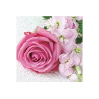 STEWO Serviettes Vanessa 25x25cm 2573621128 pink 20 pcs.