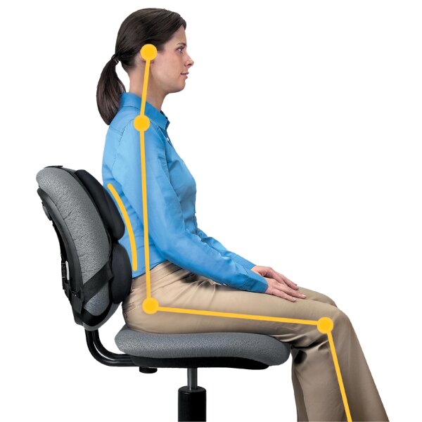 Fellowes dossier Professionnel Series Profi, repose dos,noir