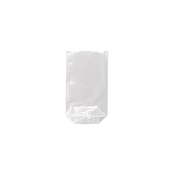 STARPAK Sachet à fond plat, (L)95 x (H)160 mm, transparent
