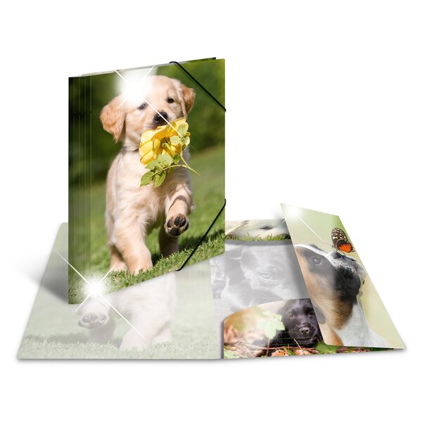 HERMA Chemise à élastiques chiens, PP Glossy, A4