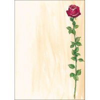 sigel Papier à motif, A4, 90 g/m2, motif Sunflower