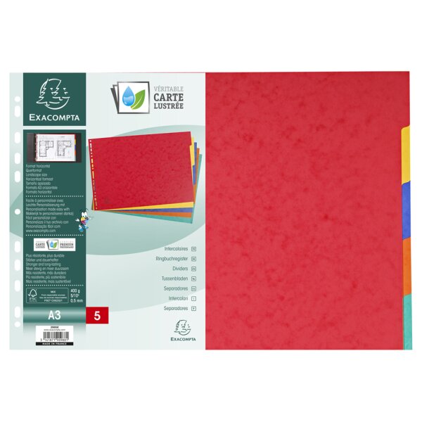 EXACOMPTA Karton-Register, blanko, DIN A3 quer, 5-teilig