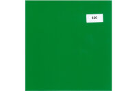 NEUTRAL Papier bordager 520 vert 3mx50cm