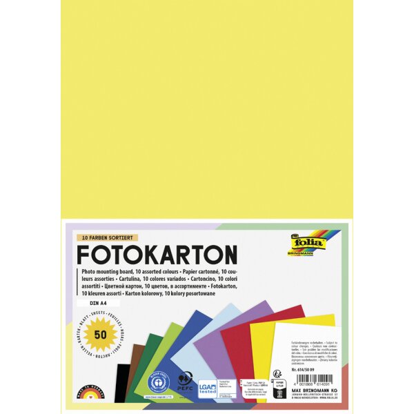 folia Carton de bricolage, A4, 300 g/m2, 25 couleurs