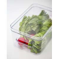 SmartStore Boîte de rangement COMPACT CLEAR M, 5,3 litres