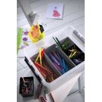 SmartStore Boîte de rangement CLASSIC 14 L, avec...