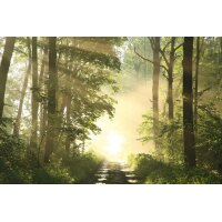 PAPERFLOW Wandbild "Wald", aus Plexiglas