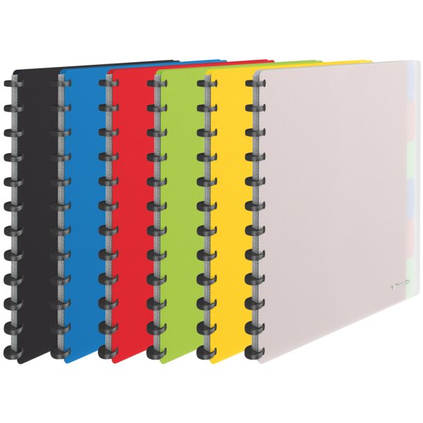 Esselte Sichtbuch VIVIDA, A4, mit 25 Sichthüllen, sortiert