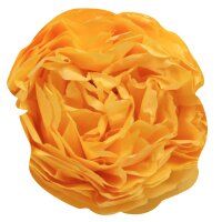 Clairefontaine Seidenpapier, (B)500 x (H)750 mm, apfelgrün