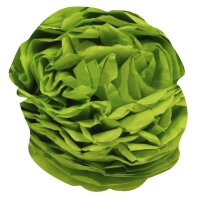 Clairefontaine Papier de soie, (l)500 x (H)750 mm,vert pomme