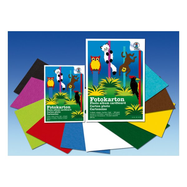 URSUS Carton photo A4 3704699 300g,10 couleurs ass. 10 flls.