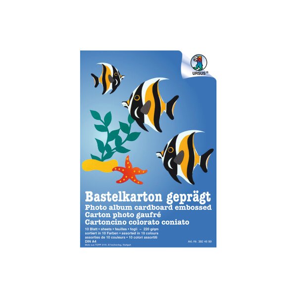 URSUS Carton bricolage A4 3924699 220g,10 couleurs ass. 10 flls.