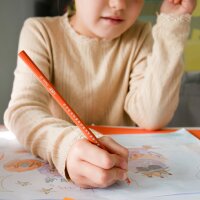 BIC KIDS Crayons de couleur Tropicolors , étui carton de 18