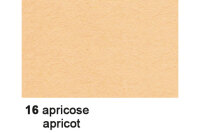 URSUS Carton photo A4 3764616 300g, apricot 100 feuilles