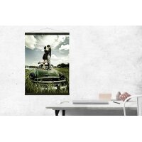 DEBEX Bornier poster 41x2cm LBMG noir, magnetique