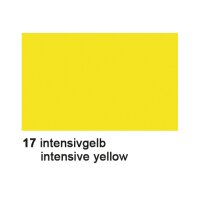 URSUS Carton photo A4 3764617 300g, jaune int. 100 feuilles