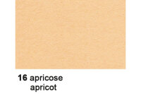 URSUS Carton photo 50x70cm 3882216 300g, apricot