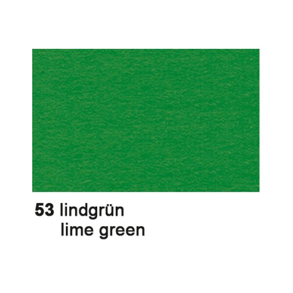 URSUS Carton photo 50x70cm 3882253 300g, vert til.