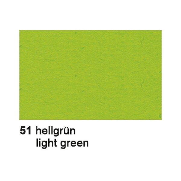 URSUS Carton photo 70x100cm 3881451 300g, vert clair