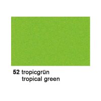 URSUS Carton photo 70x100cm 3881452 300g, vert trop.