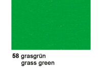 URSUS Carton photo 70x100cm 3881458 300g, vert herbe