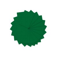 URSUS Tonzeichenpapier A4 2174655 130g, dunkelgrün...
