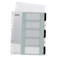 LEITZ Intercalaires en plastique WOW,...