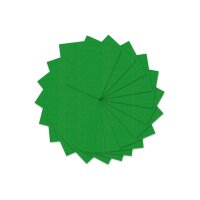 URSUS Tonzeichenpapier A3 2174053 130g, lindgrün 100...