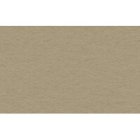 URSUS Carton photo 50x70cm 3882276 300g, pigeon