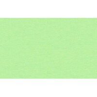 URSUS Fotokarton A4 3764630 300g, mint 100 Blatt