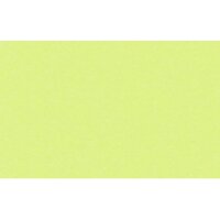 URSUS Carton photo 50x70cm 3882250 300g, pomme vert