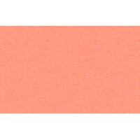 URSUS Papier à dessin couleur A4 2174642 130g,...