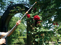 Garten PRIMUS Coupe-branches Chevalier à la rose, télescop