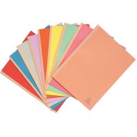 EXACOMPTA Chemise à soufflet, en carton, 320 g/m2,...