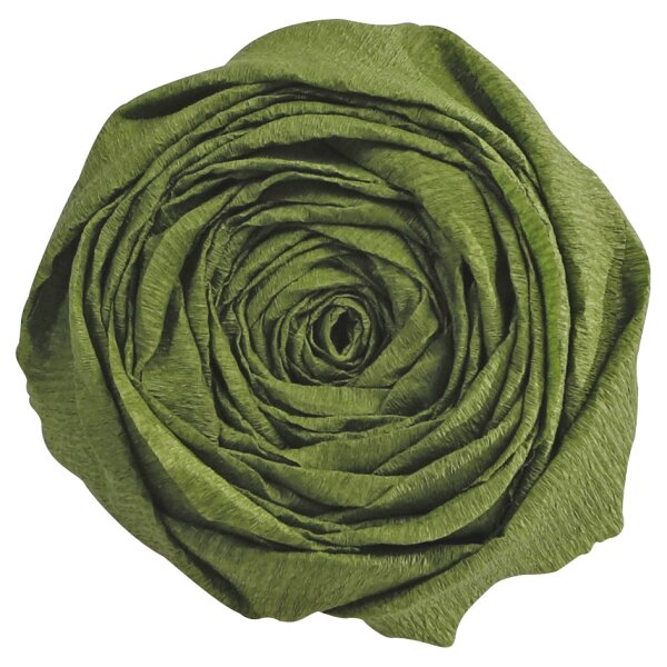 Clairefontaine Papier crépon, vert mousse