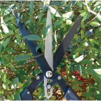 Garten PRIMUS Cisaille à haies Multi-coupes
