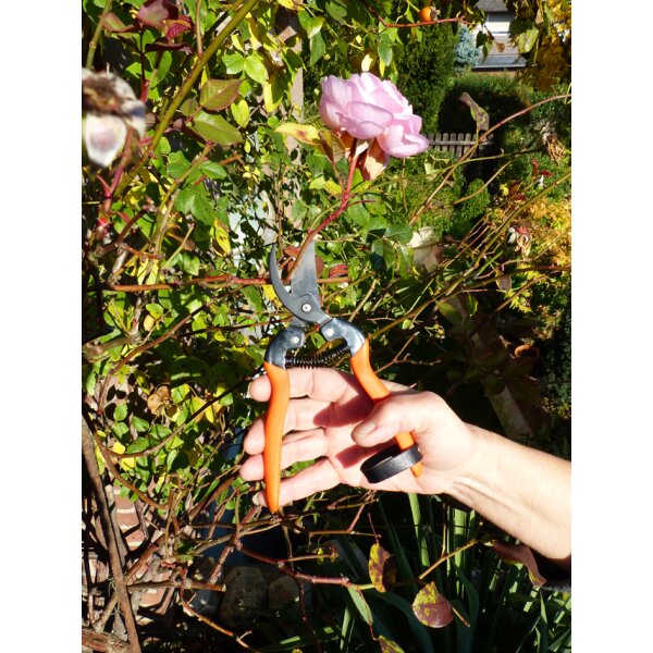 Garten PRIMUS Sécateur de jardin Sécateur spécial rosier