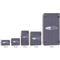 phoenix Coffre-fort anti-effraction NEPTUN HS1053K, graphite