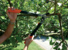 Garten PRIMUS Coupe-branches pour dames, longueur : 470 mm