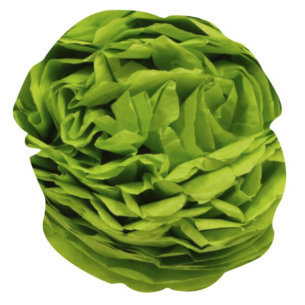 Clairefontaine Papier de soie, (l)500 x (H)750 mm, noir