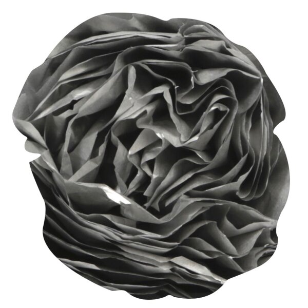 Clairefontaine Papier de soie, (l)500 x (H)750 mm, noir